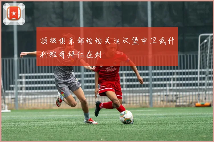 顶级俱乐部纷纷关注汉堡中卫武什科维奇拜仁在列