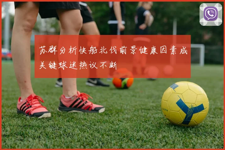 苏群分析快船北伐前景健康因素成关键球迷热议不断